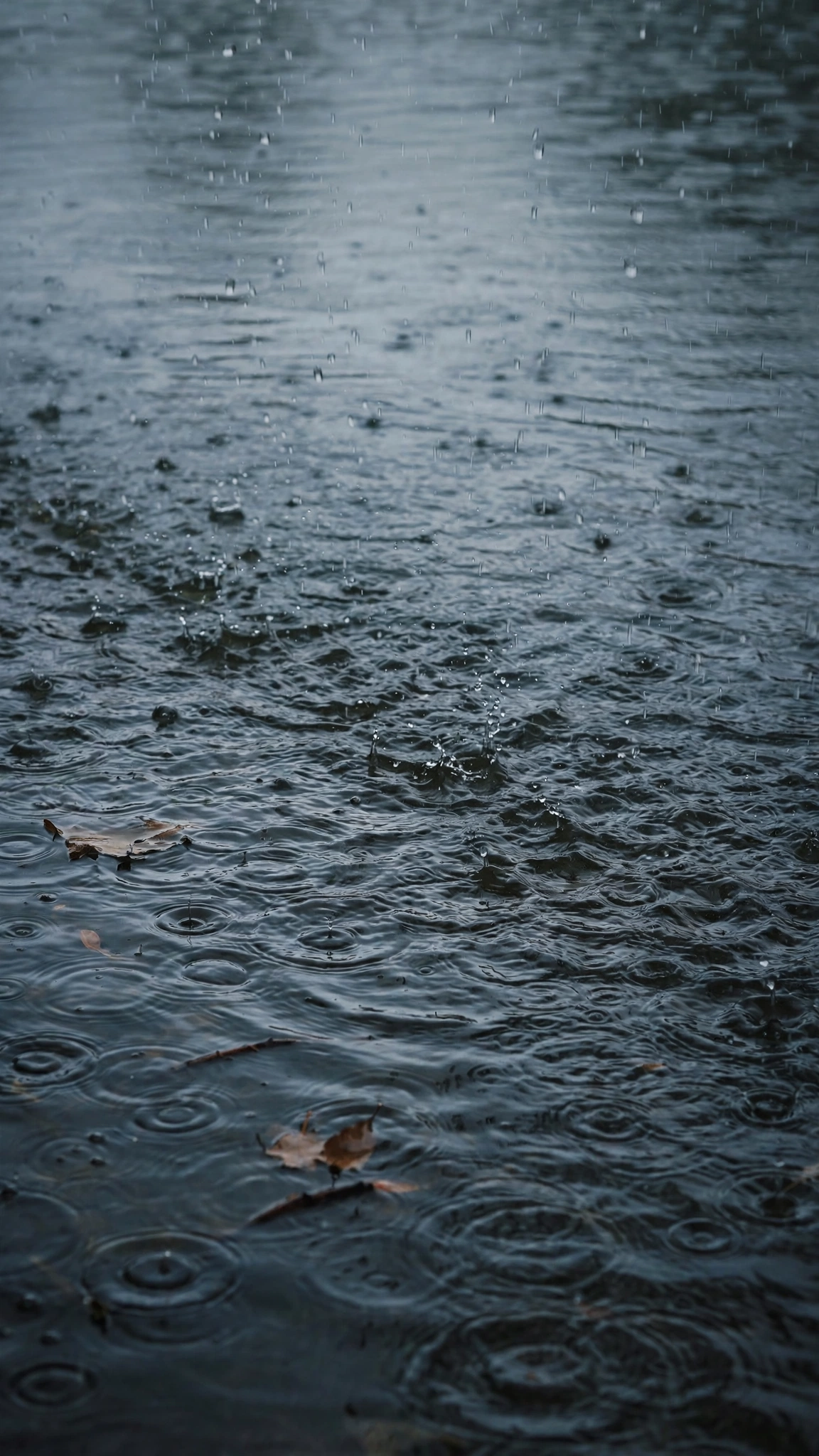 Monsoon Lake Rainfall